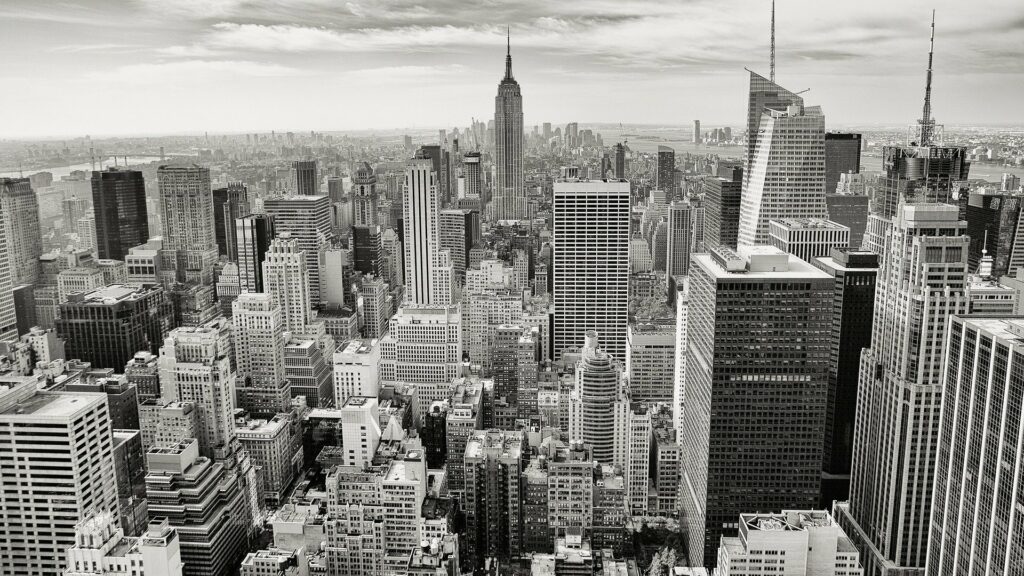 An aerial black and white view of the NY skyline to represent an ecosystem